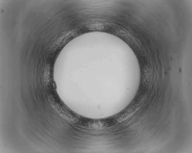 X0000062870600200602031718