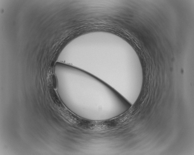 X0000062870601200602031718