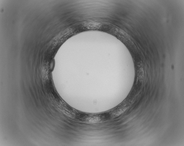 X0000062870604200602031718