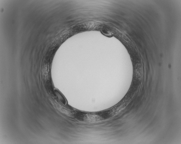 X0000062870605200602031718