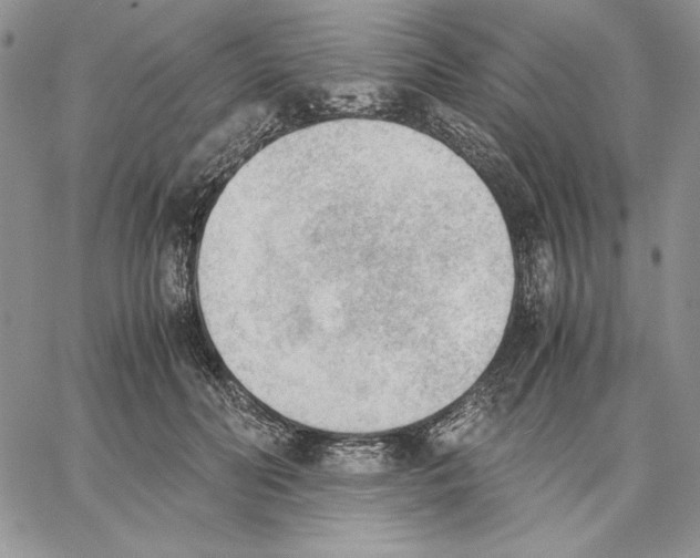 X0000062870606200602031718