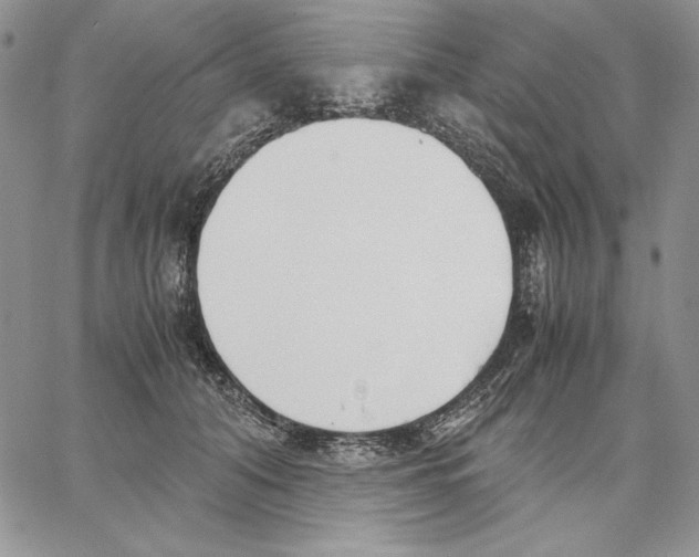 X0000062870608200602031718