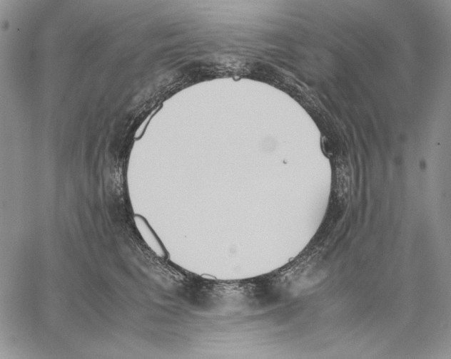 X0000062870613200602031718