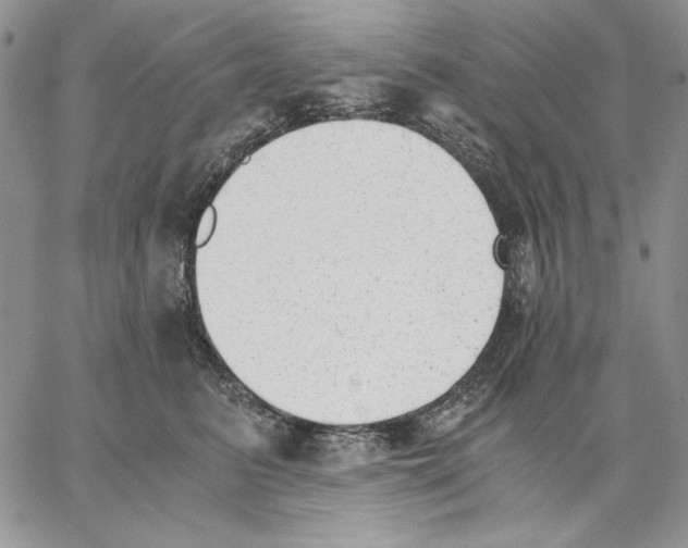 X0000062870615200602031718