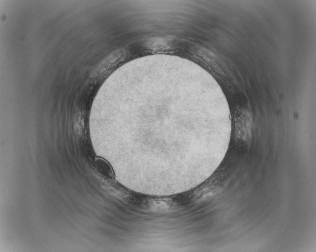 X0000062870618200602031718