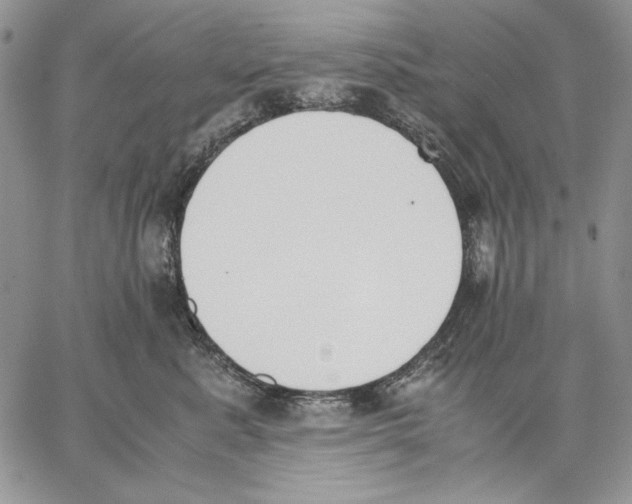 X0000062870619200602031718