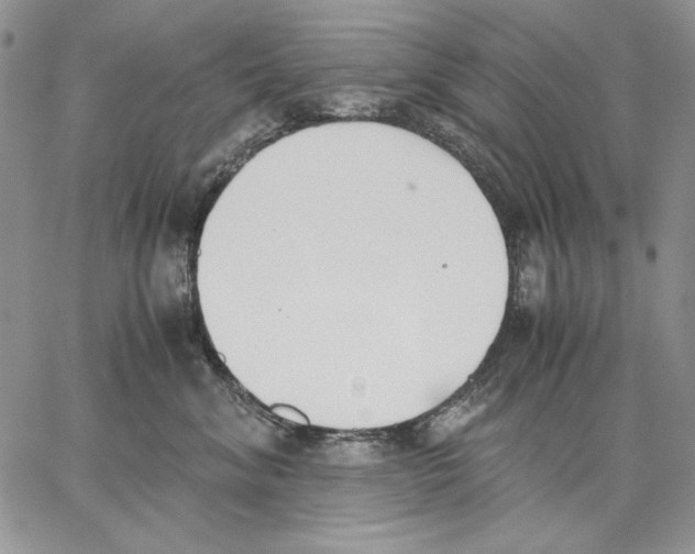 X0000062870620200602031718