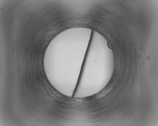 X0000062870624200602031718