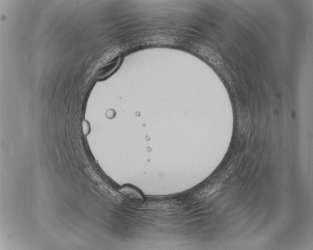 X0000062870625200602031717