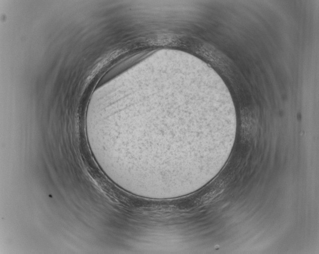 X0000062870626200602031717