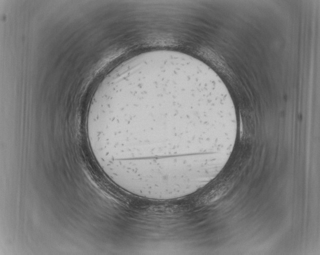 X0000062870627200602031717