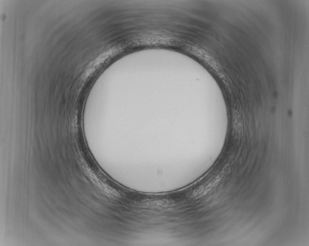 X0000062870629200602031717