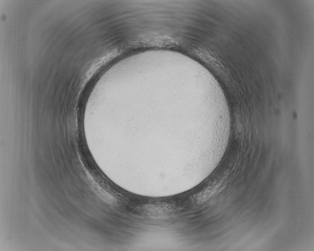 X0000062870630200602031717