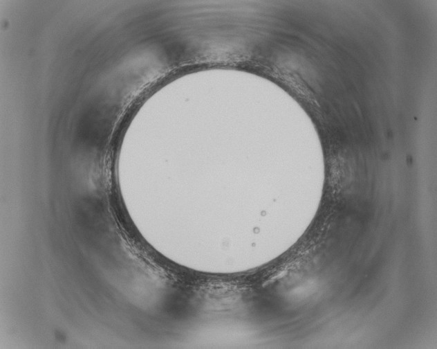 X0000062870632200602031717