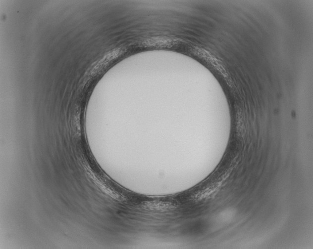 X0000062870633200602031717