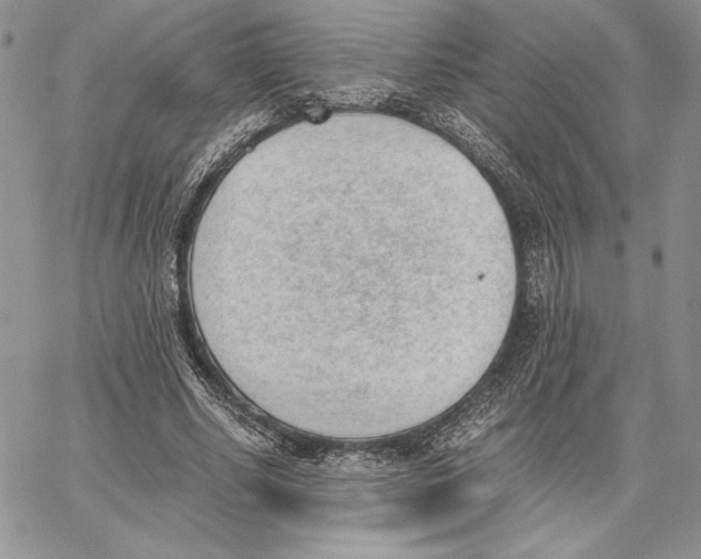 X0000062870634200602031717