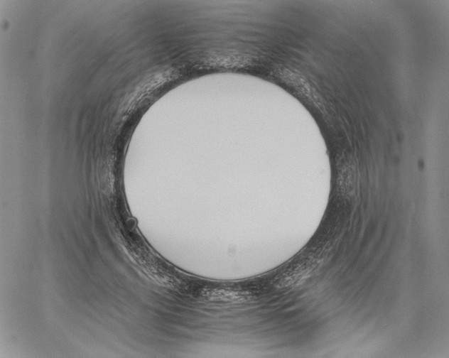 X0000062870635200602031717