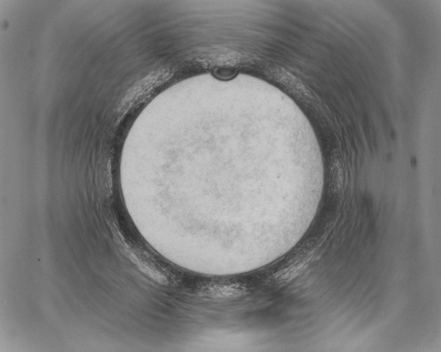 X0000062870638200602031718