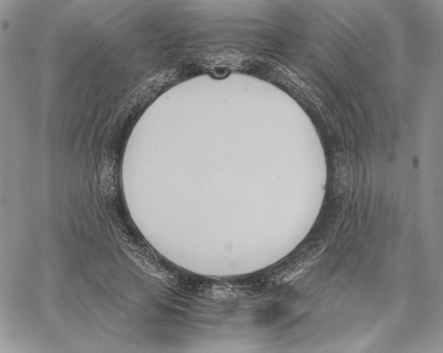 X0000062870641200602031718