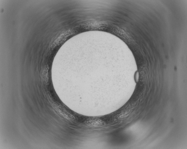 X0000062870642200602031718