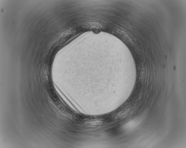 X0000062870643200602031718