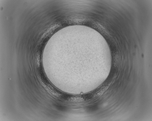 X0000062870644200602031718