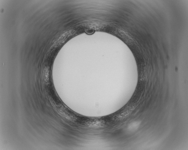 X0000062870646200602031718