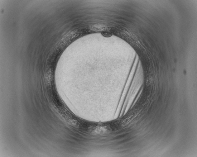 X0000062870647200602031718