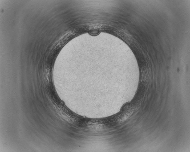 X0000062870648200602031718