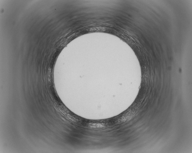 X0000062870649200602031718