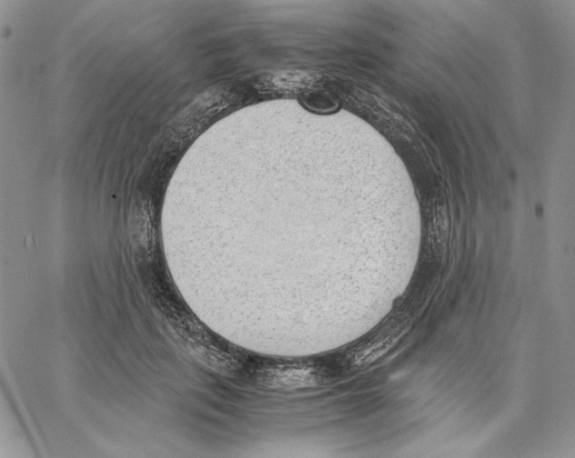 X0000062870651200602031718