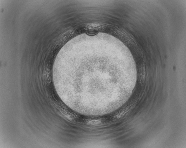 X0000062870653200602031718