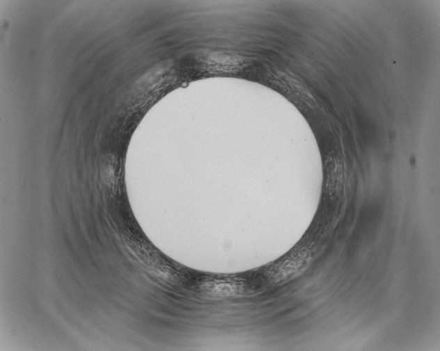 X0000062870655200602031718