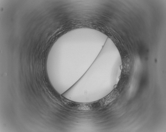 X0000062870656200602031718