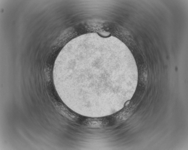 X0000062870658200602031718