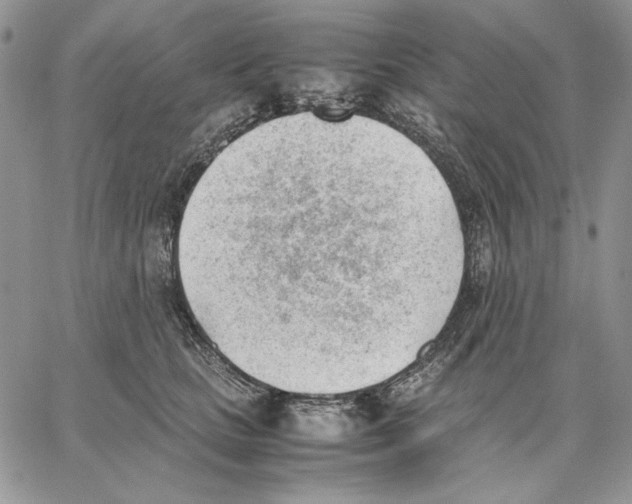 X0000062870661200602031718