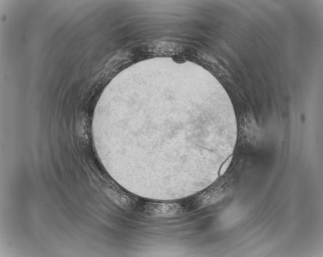 X0000062870663200602031718