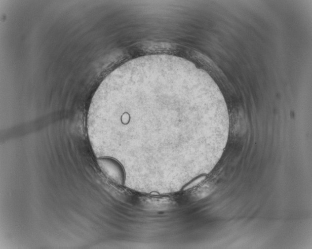 X0000062870669200602031718