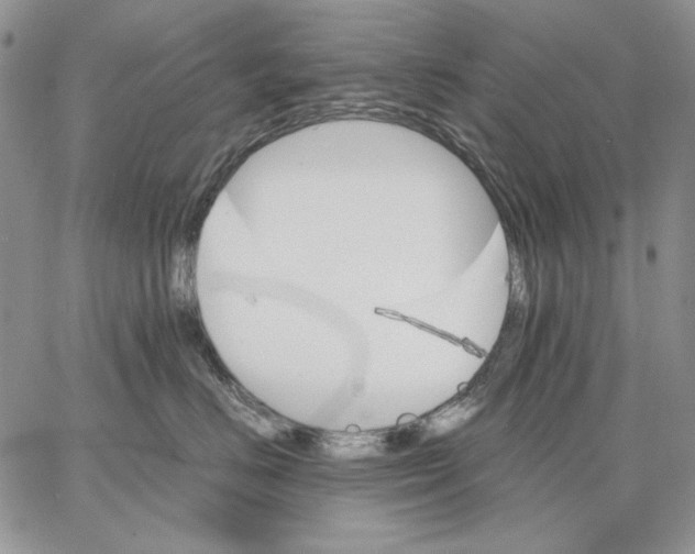 X0000062870670200602031718