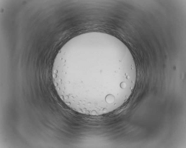 X0000062870671200602031718