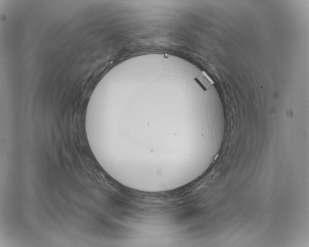 X0000062870672200602031718