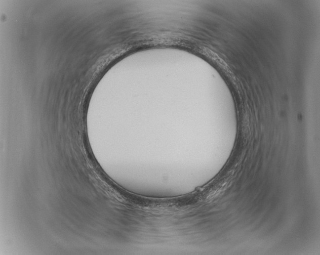 X0000062870673200602031717