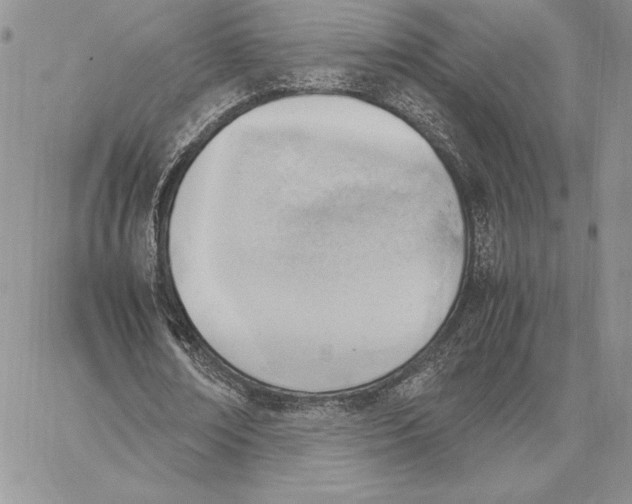 X0000062870674200602031717