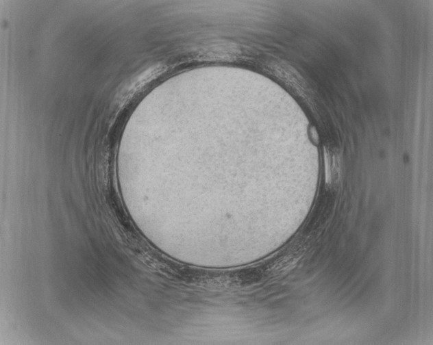 X0000062870675200602031717