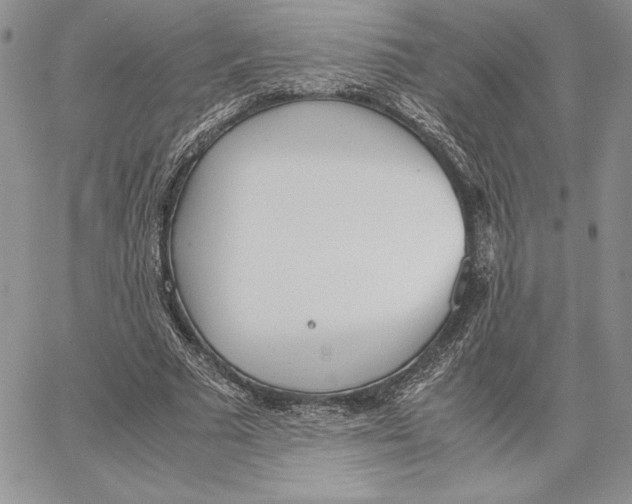 X0000062870681200602031717