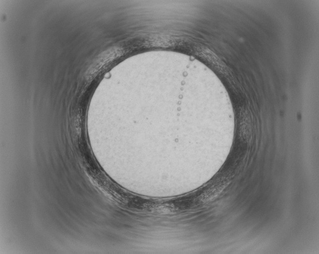 X0000062870683200602031717