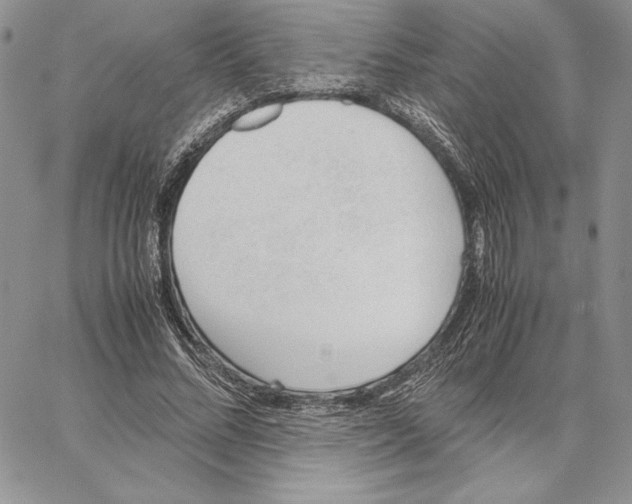 X0000062870684200602031717