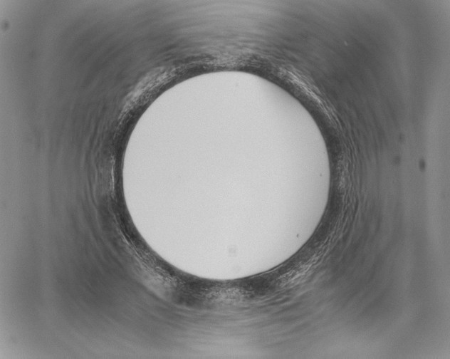 X0000062870685200602031717