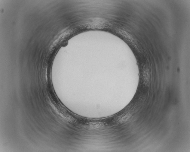 X0000062870686200602031717