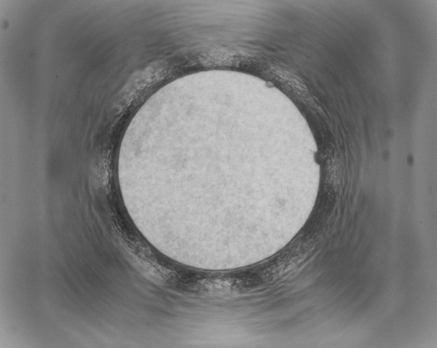 X0000062870687200602031717